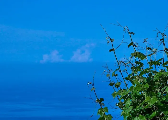 Casa de hóspedes Adama