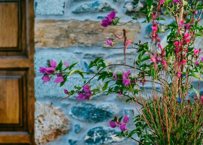 Adama Casa de hóspedes 4*